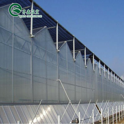 Plaque de polycarbonate recouvrant des panneaux solaires transparents pour serres très demandées