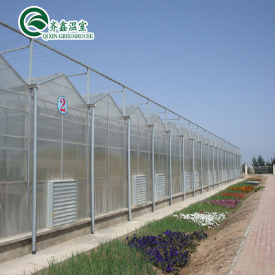Plaque de polycarbonate recouvrant des panneaux solaires transparents pour serres très demandées