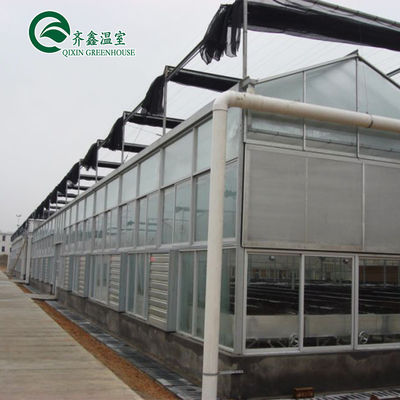Plaque de polycarbonate recouvrant des panneaux solaires transparents pour serres très demandées