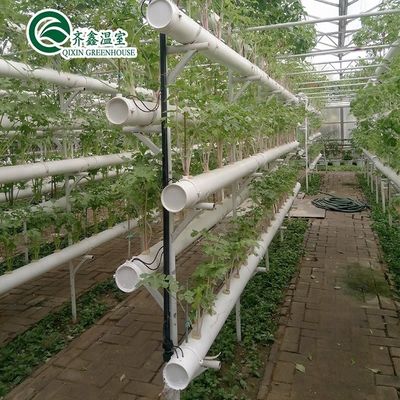 Système hydroponique vertical à double couche de serres agricoles multifonctions