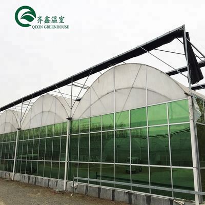 Système hydroponique vertical à double couche de serres agricoles multifonctions