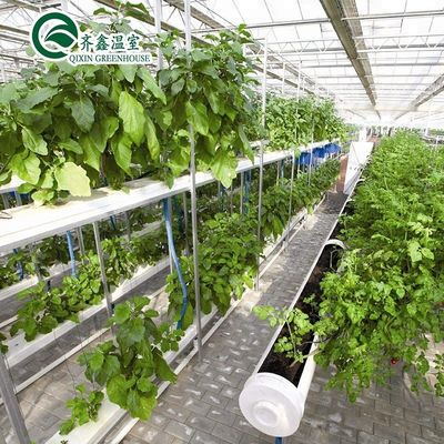 Serres agricoles multifonctions avec film PO redéfinissant les systèmes hydroponiques intérieurs