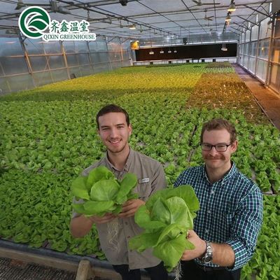 Serres agricoles multifonctions avec film PO redéfinissant les systèmes hydroponiques intérieurs