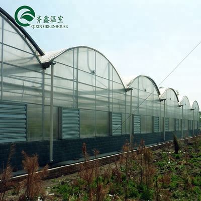 Serres agricoles multifonctions avec film PO redéfinissant les systèmes hydroponiques intérieurs