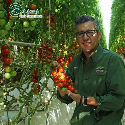 Grande pompe hydroponique pour une croissance maximale des légumes fruits et fleurs