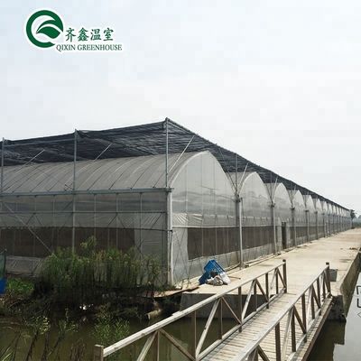 Grande pompe hydroponique pour une croissance maximale des légumes fruits et fleurs