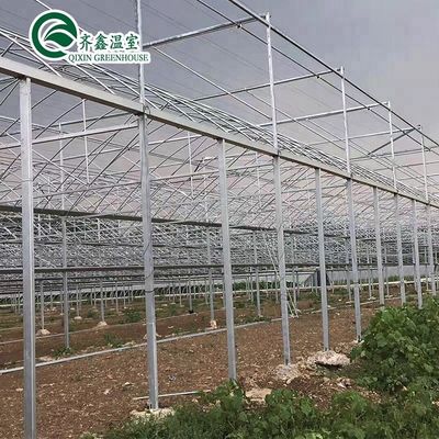 Container agricole à grande échelle avec serres agricoles multifonctions