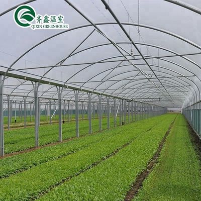 Container agricole à grande échelle avec serres agricoles multifonctions