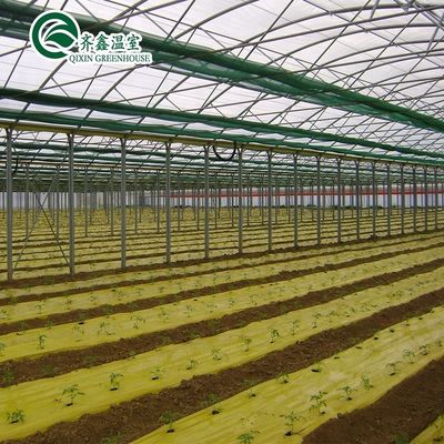 Container agricole à grande échelle avec serres agricoles multifonctions