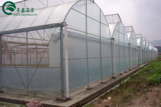 Serre à deux couches pour la culture de légumes, fruits et fleurs