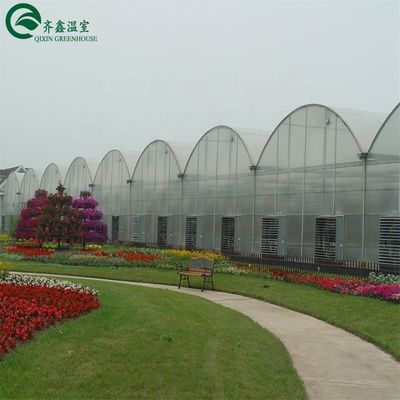 Serre à deux couches pour la culture de légumes, fruits et fleurs