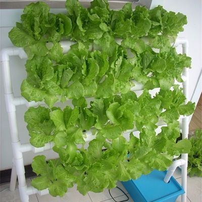 PO La solution ultime pour l'agriculture verticale dans les serres agricoles multifonctions