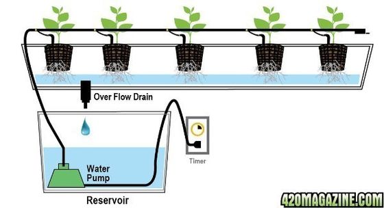 PO La solution ultime pour l'agriculture verticale dans les serres agricoles multifonctions