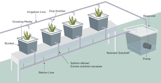 PO La solution ultime pour l'agriculture verticale dans les serres agricoles multifonctions