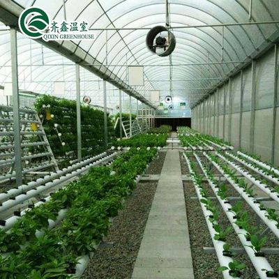 PO Serre à couche unique pour l'agriculture
