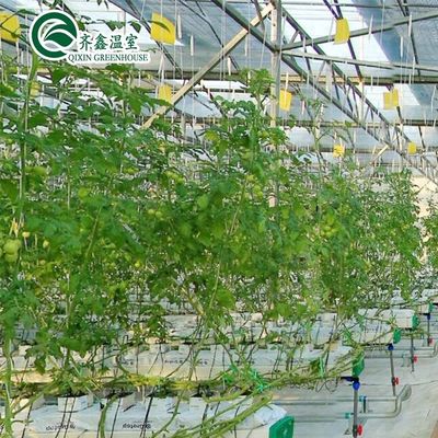 Systèmes de culture hydroponique à l'intérieur protégés par film PO pour serre