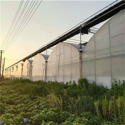 PO Serre à couche unique pour l'agriculture