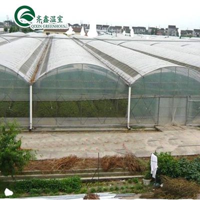 PO Serre à couche unique pour l'agriculture