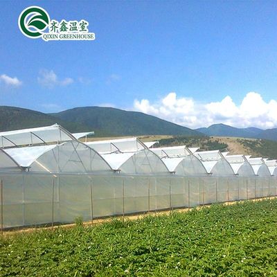 Ventilateurs pour une croissance optimale des tomates et autres légumes en serre