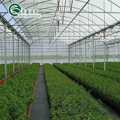 Ventilateurs pour une croissance optimale des tomates et autres légumes en serre