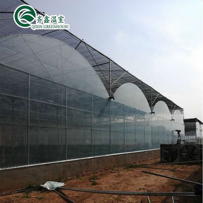 Révolutionner l'agriculture à l'intérieur et à l'extérieur Système d'ombrage pour serre hydroponique