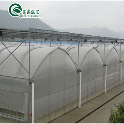 Serre hydroponique à double couche pour la culture de tomates dans un environnement contrôlé