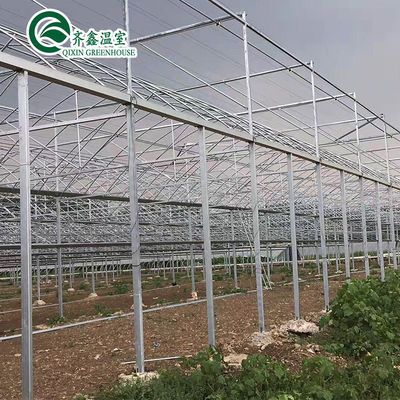Serre hydroponique à double couche pour la culture de tomates dans un environnement contrôlé