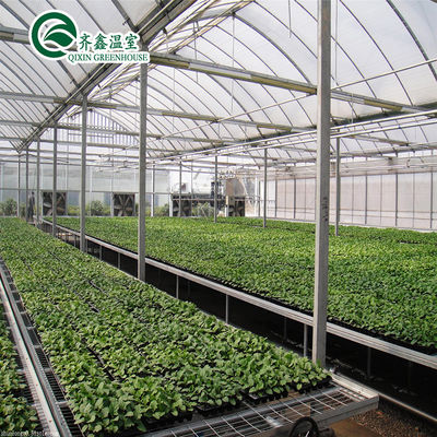 Serre hydroponique à double couche pour la culture de tomates dans un environnement contrôlé